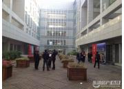 ���嶫���Ͼ���԰