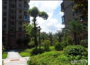 ������ͥ