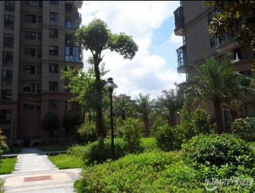 ������ͥ