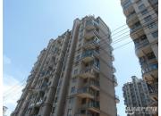 ������ͥ