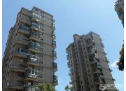 ������ͥ