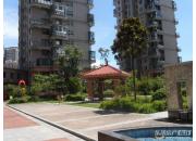 ������ͥ