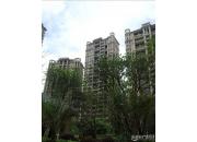 ���Ų�����