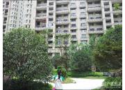 ���Ų�����