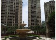 ���Ų�����