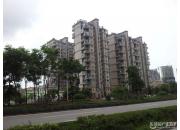 ���Ų�����