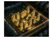 ���Ų�����