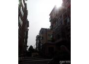 ������л�԰