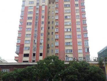 ���ش���