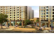 �����Ͼ���԰