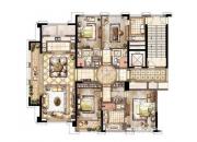 ʱ������