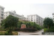 ����ʵ��