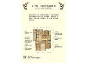 �Ƹ������