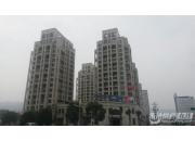 �Ƹ������