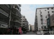 ����С��