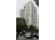 ��ï����