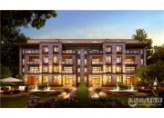 �����������׸�