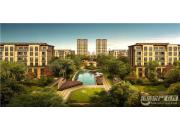 �����������׸�