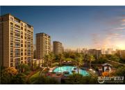 �����������׸�