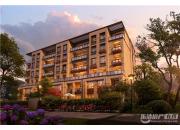 �����������׸�