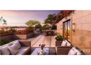 �����������׸�