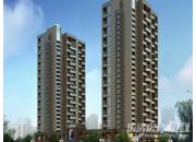 ���Ρ���Ʒ