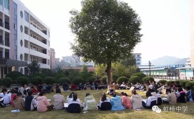 虹桥中学 2015乐清招生 志愿填报