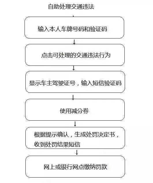 乐清驾驶证违法减分 乐清驾驶人 乐清违章减分