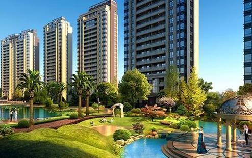 13161353b0acdca6b24298.jpg Snap.jpg