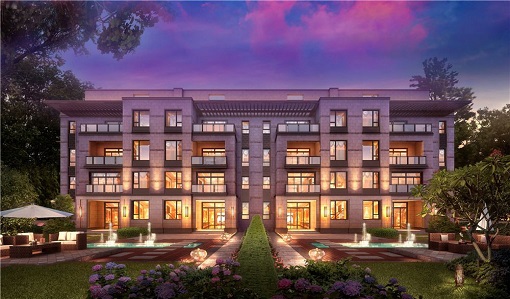 �����׸� ����VIP����