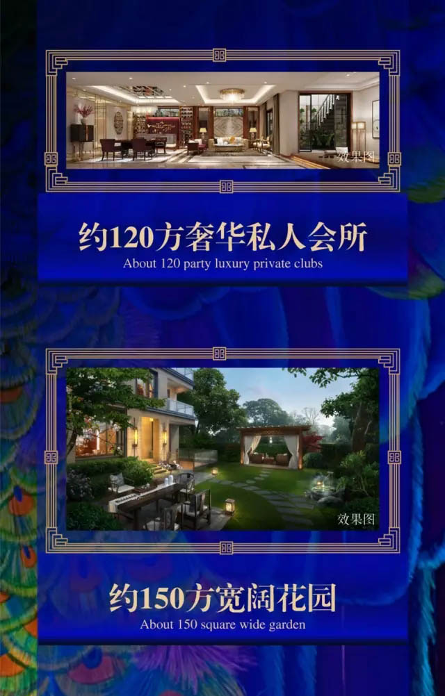 �����׸� �������巿