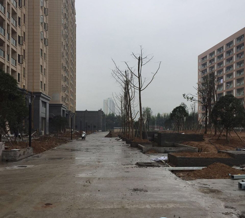 �Ϸ������԰