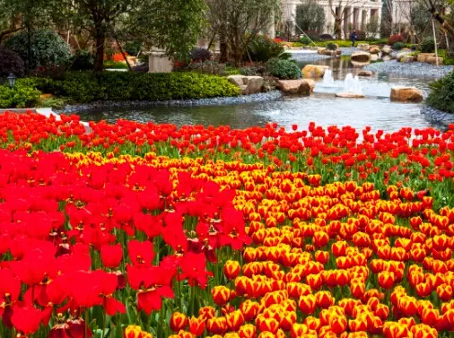 �º����¹�԰,���¹�԰������,���庣�¹�԰