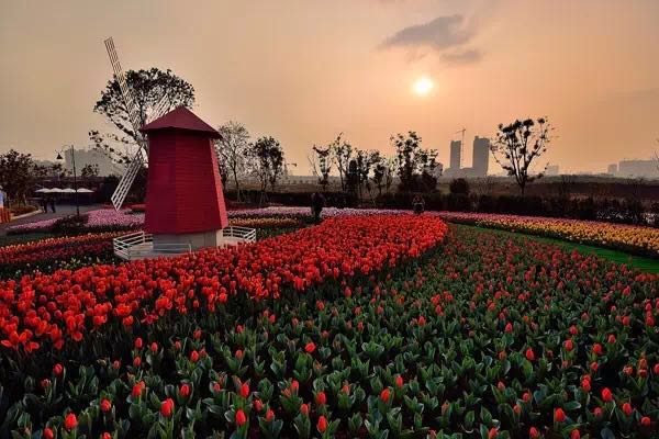 �º����¹�԰,���¹�԰������,���庣�¹�԰