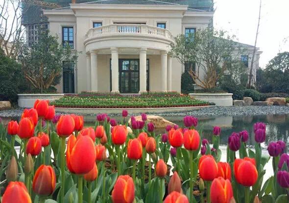 �º����¹�԰,���¹�԰������,���庣�¹�԰