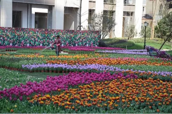 �º����¹�԰�����㻨չ