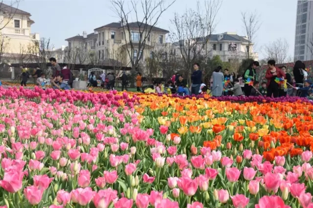 �º����¹�԰�����㻨չ