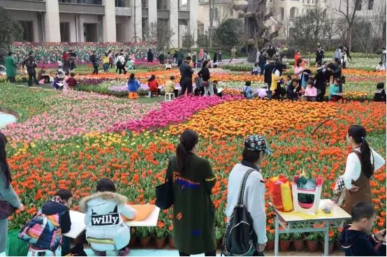 �º����¹�԰�����㻨չ