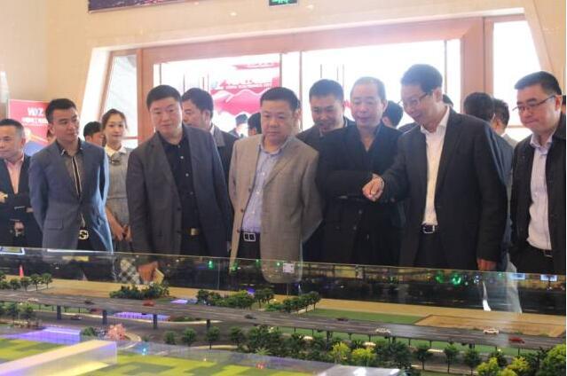 视察 视察 中国电工电器城,市委领导视察电器城,五洲国际