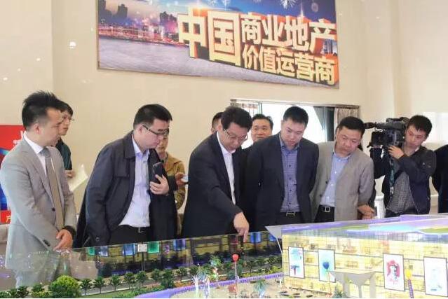 视察 视察 中国电工电器城,市委领导视察电器城,五洲国际