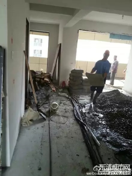 �����������,�������Υ��,ҵ��Ͷ��