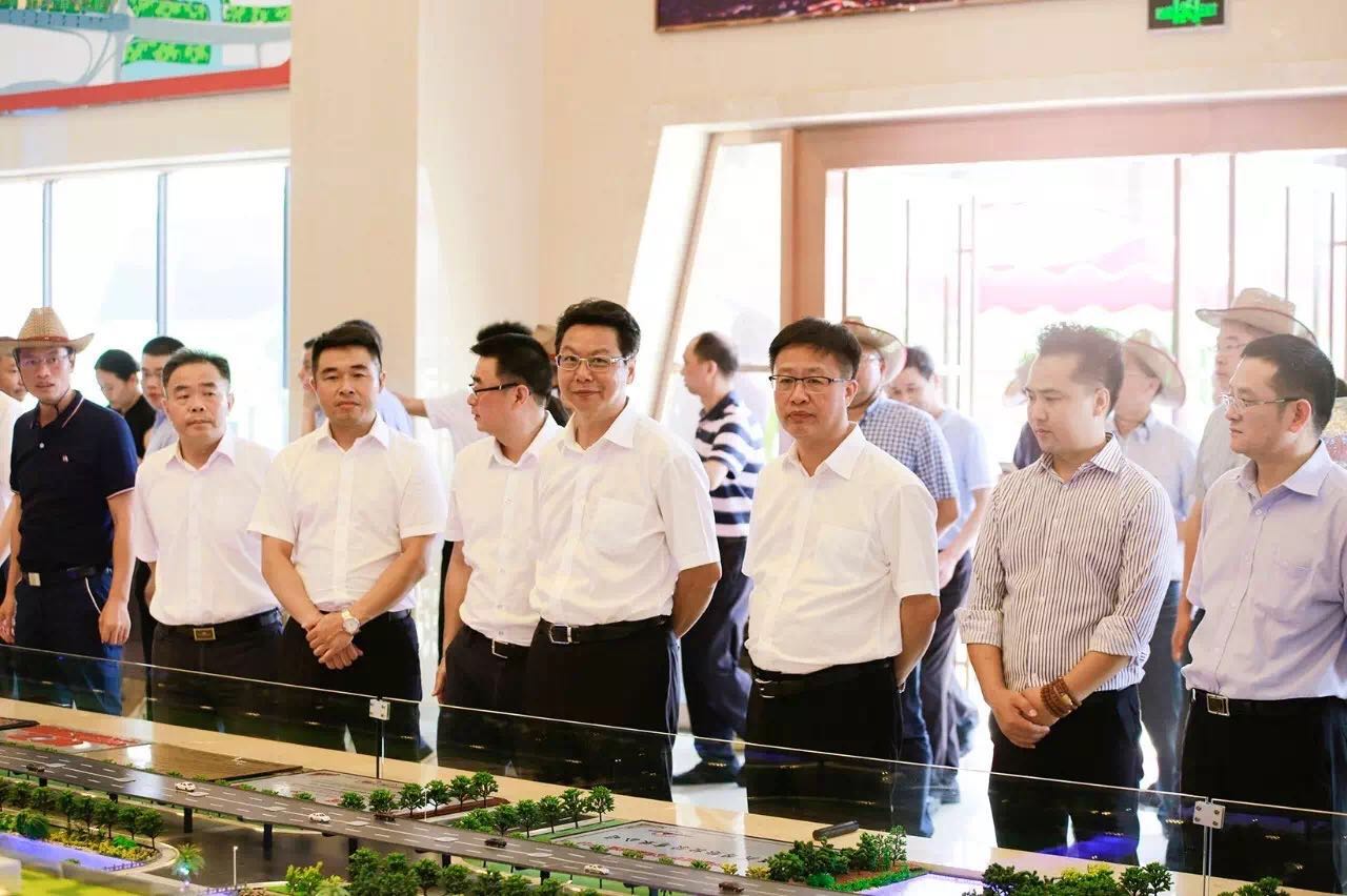 中国电工电器城,乐清领导视察,乐清电气产业