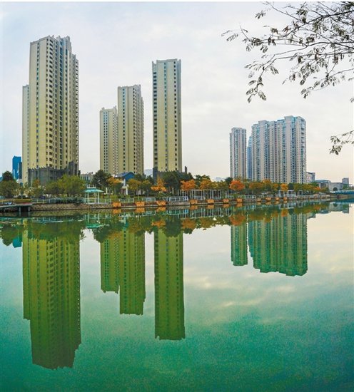 潮起东海看最美乐清湾畔话梦想