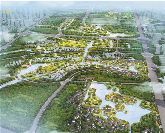 潮起东海看最美乐清湾畔话梦想